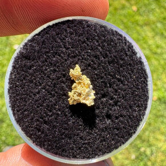 California Native Gold Crystal -  0.26 grams - Picture 2 of 4